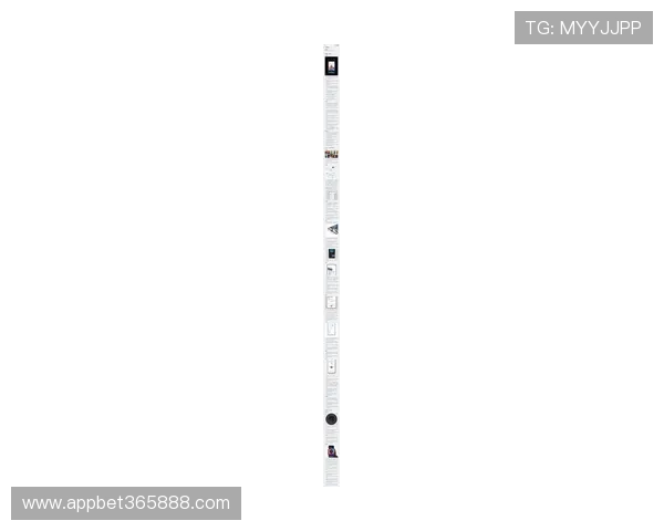 365手机官网：通过官网获取365手机的最新软件更新与系统升级信息