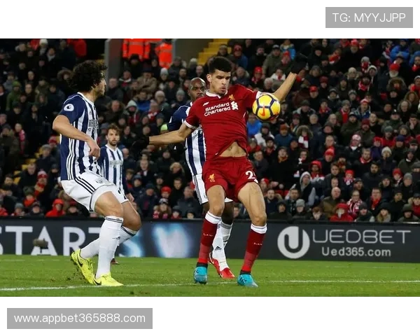 bet中文版365体育赛事直播与投注体验全方位提升攻略