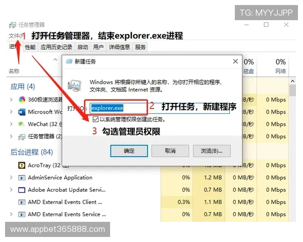 winwin线上网址下载新版下载安装教程及常见问题解答汇总